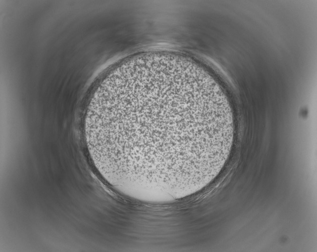 X0000116891356201002021200