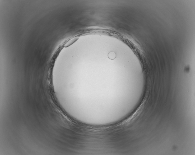 X0000116891357201002021200