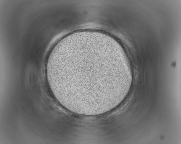 X0000116891358201002021200