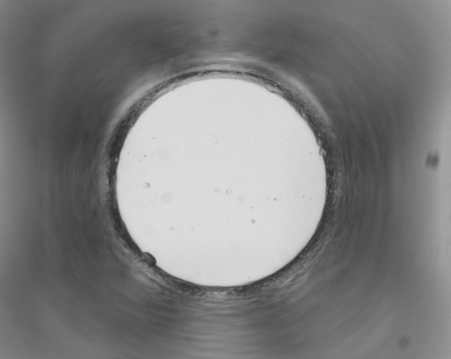 X0000116891360201002021200