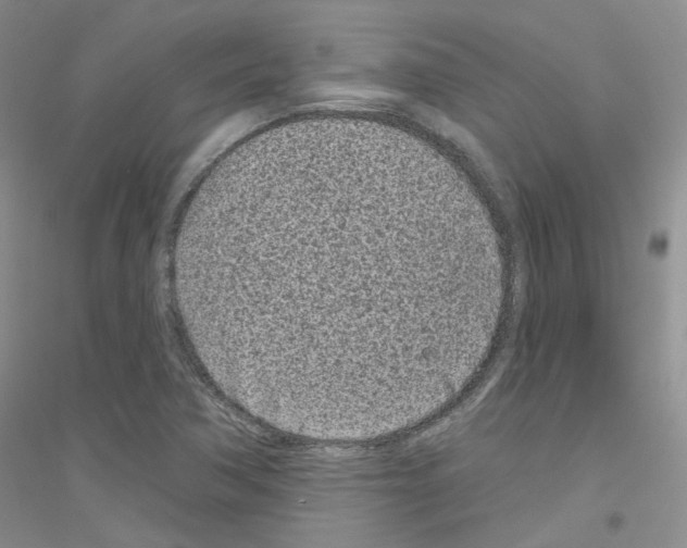 X0000116891362201002021200