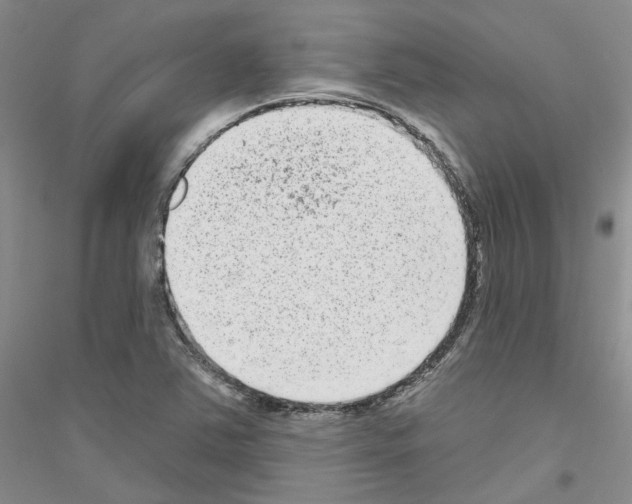 X0000116891363201002021200