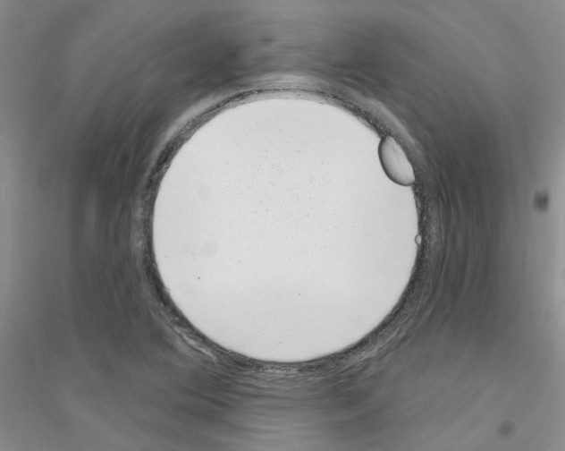 X0000116891364201002021200