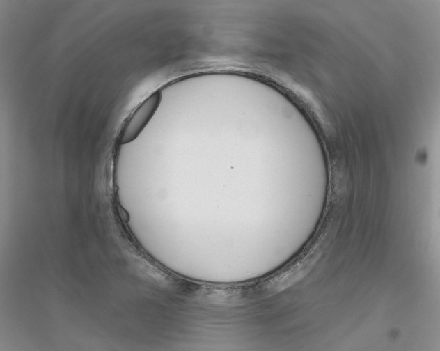 X0000116891365201002021200