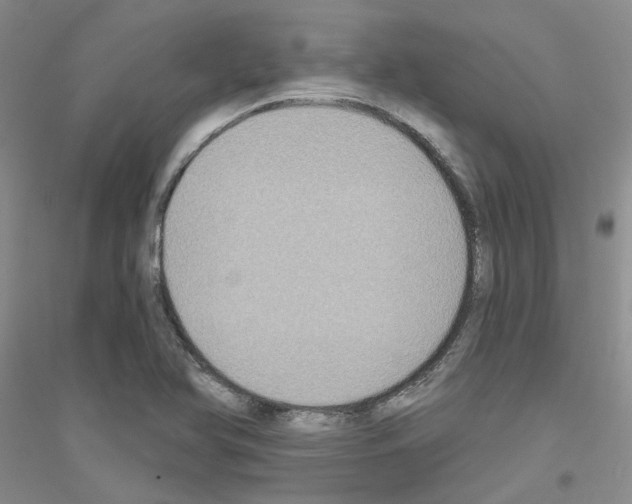 X0000116891366201002021200