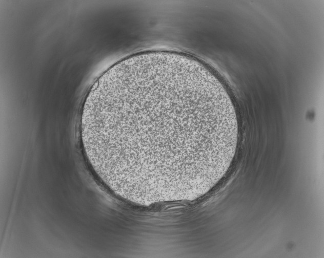 X0000116891367201002021200