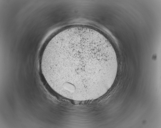 X0000116891368201002021200