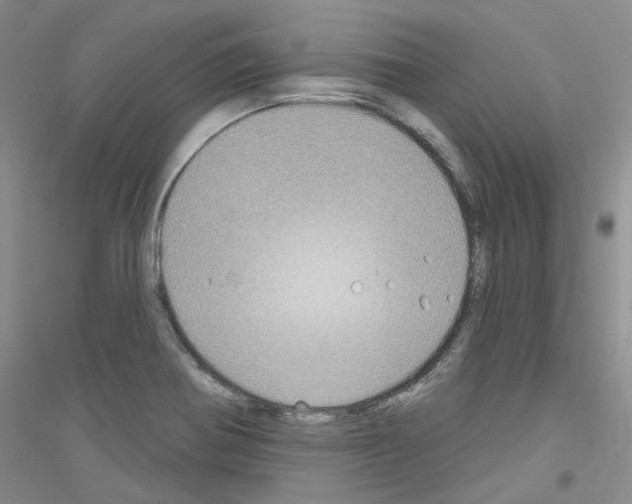 X0000116891370201002021200