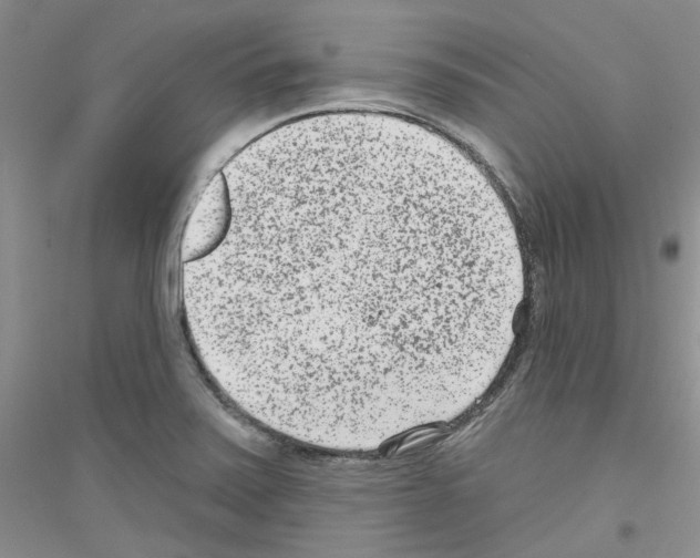 X0000116891371201002021200