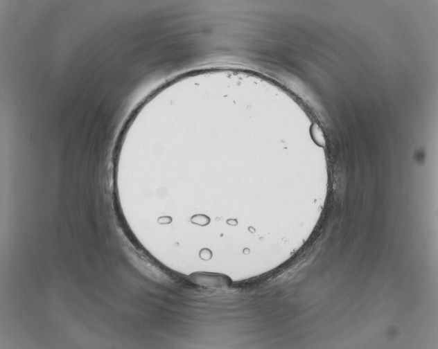 X0000116891372201002021200