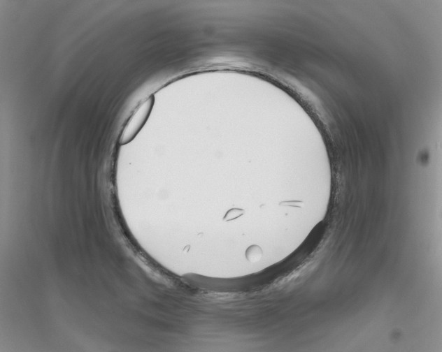 X0000116891373201002021200