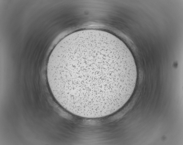 X0000116891374201002021200