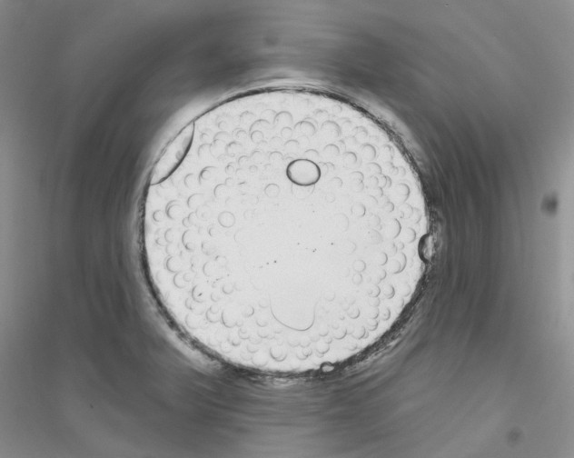 X0000116891375201002021200