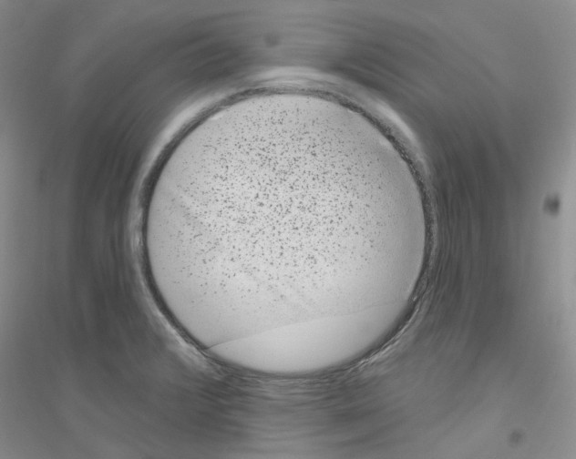 X0000116891376201002021200