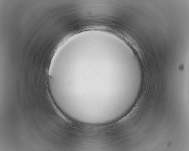 X0000116891377201002021200