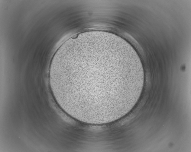 X0000116891378201002021200