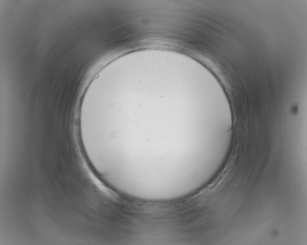 X0000116891379201002021200