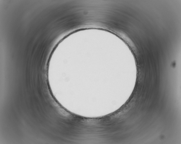 X0000116891380201002021200