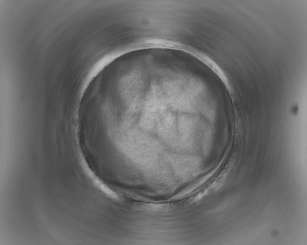 X0000116891381201002021200