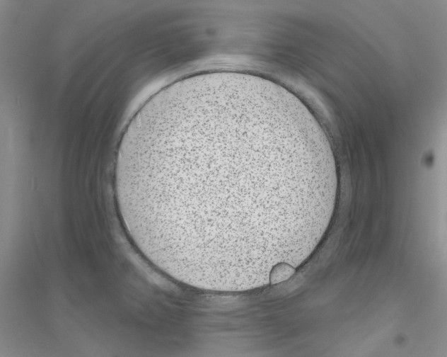 X0000116891382201002021200