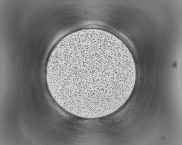 X0000116891384201002021200