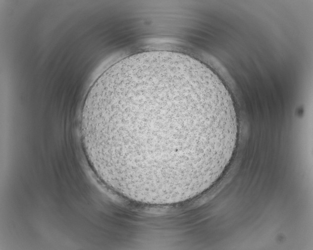 X0000116891386201002021200