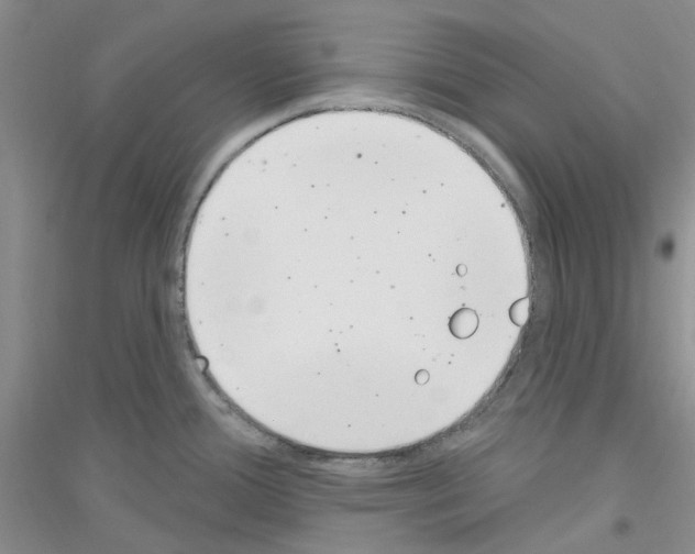 X0000116891388201002021200