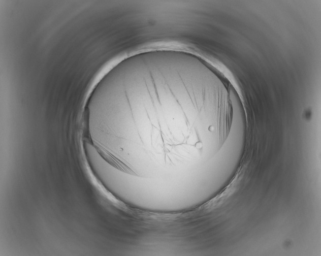 X0000116891389201002021200