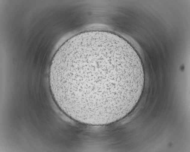 X0000116891390201002021200