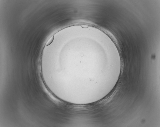 X0000116891391201002021200