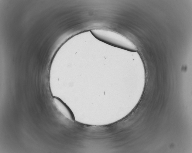 X0000116891392201002021200