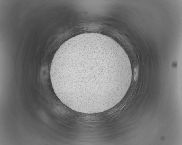 X0000116891395201002021159