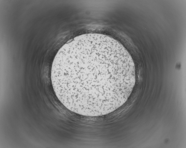 X0000116891396201002021159