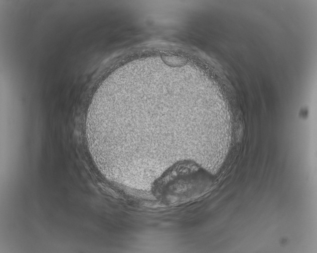 X0000116891397201002021159