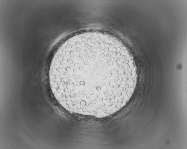 X0000116891400201002021159