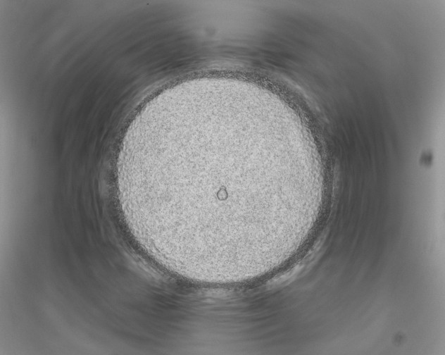 X0000116891401201002021159