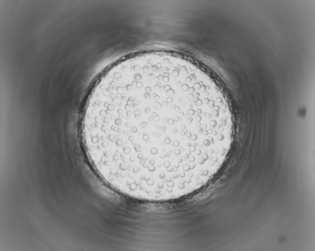 X0000116891404201002021159