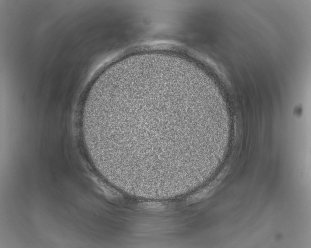 X0000116891405201002021159