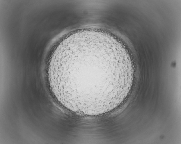 X0000116891406201002021159