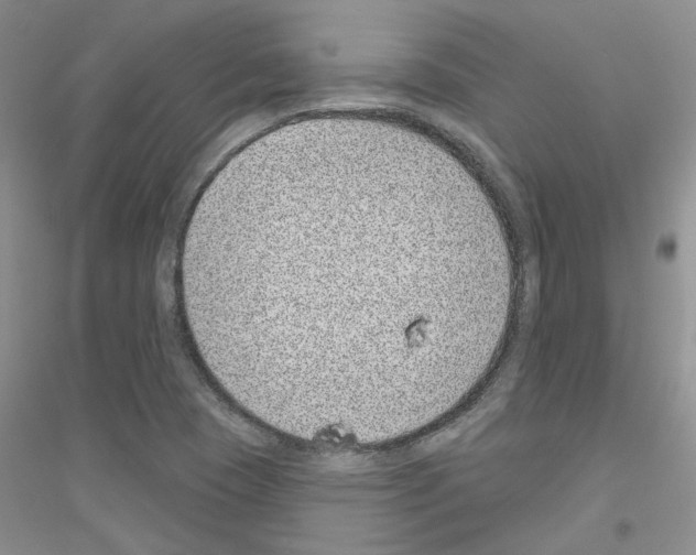 X0000116891409201002021159