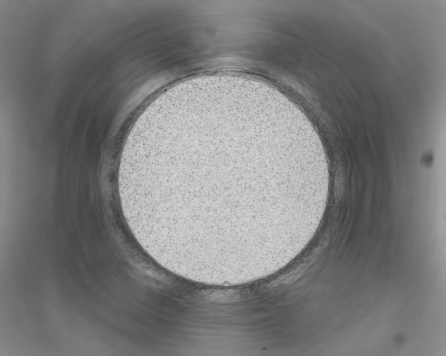 X0000116891410201002021159