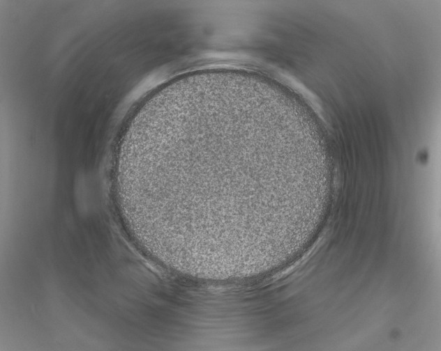 X0000116891411201002021159