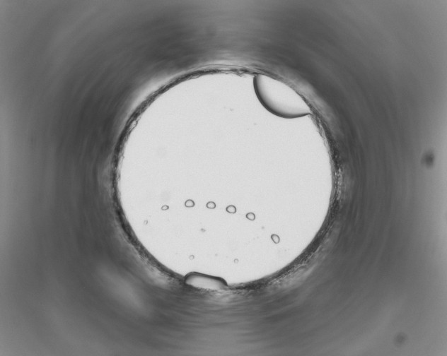 X0000116891412201002021159