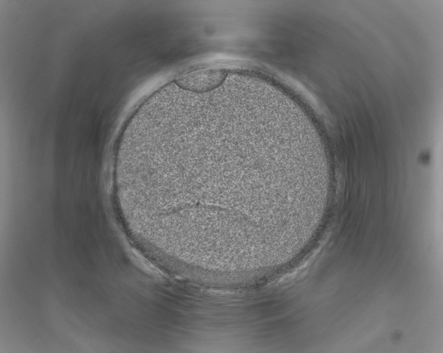 X0000116891413201002021159