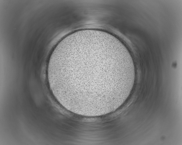 X0000116891415201002021159