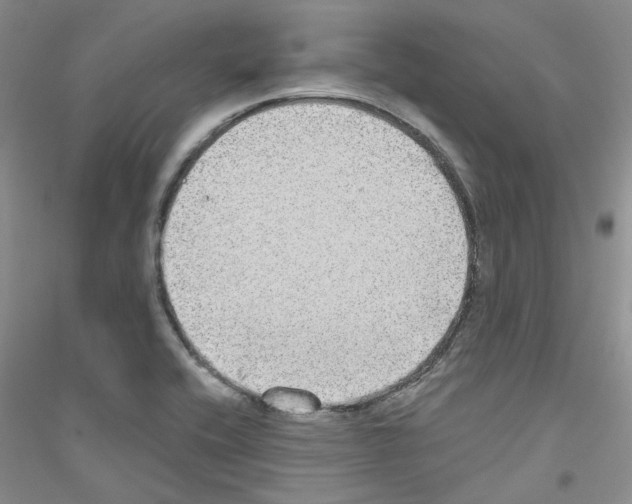 X0000116891416201002021159