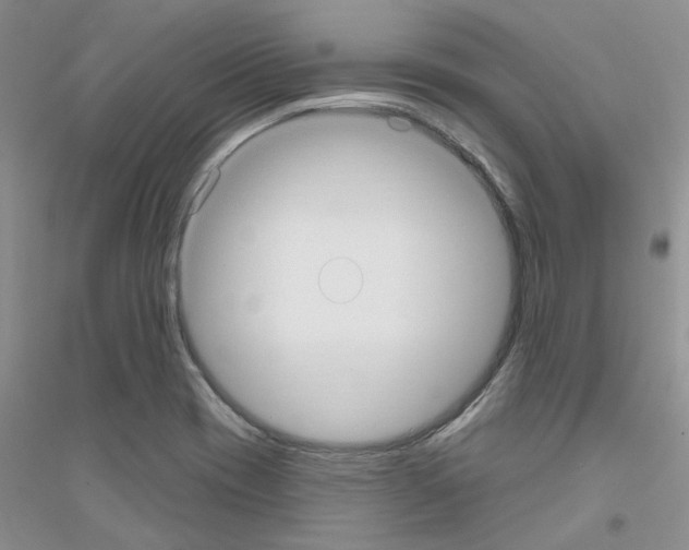 X0000116891417201002021159