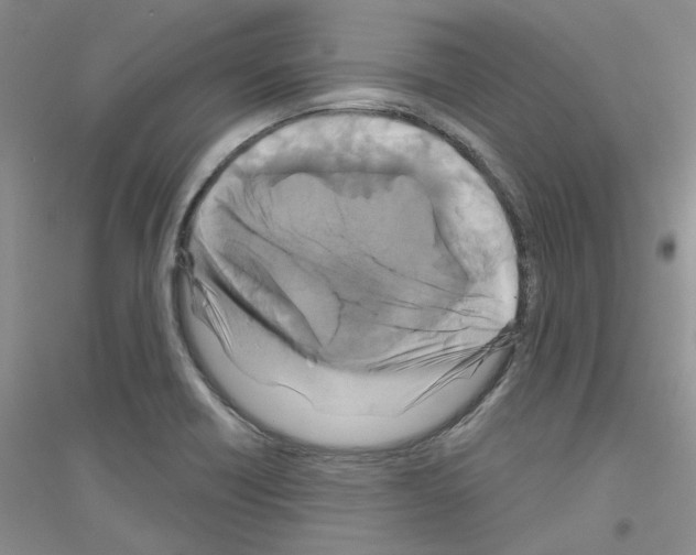 X0000116891418201002021159