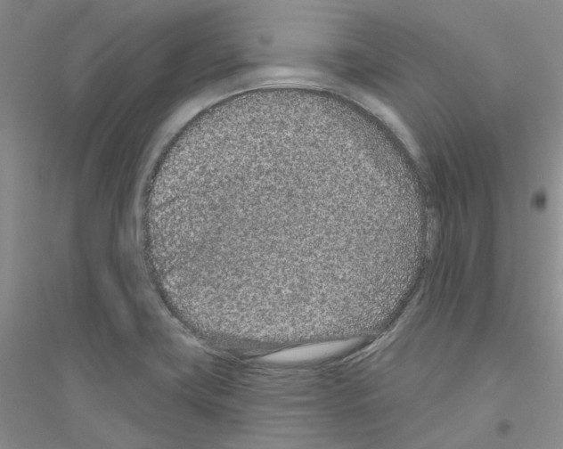 X0000116891419201002021159