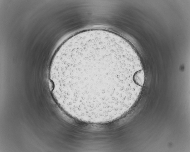 X0000116891420201002021200